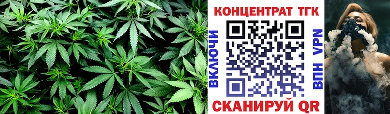 ТГК Wax  Сыктывкар 