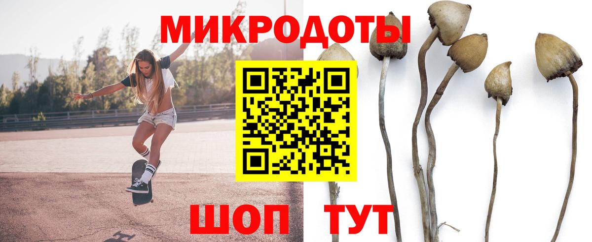 Сыктывкар  Псилоцибиновые грибы Cubensis  Вход с VPN 