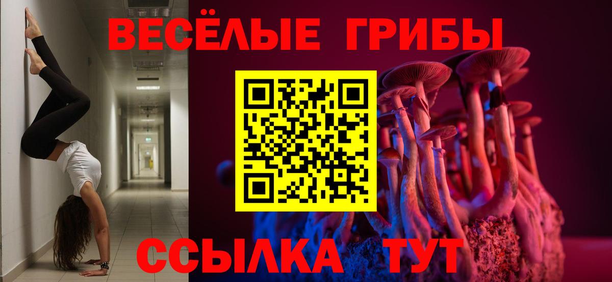 Галлюциногенные грибы ЛСД Сыктывкар